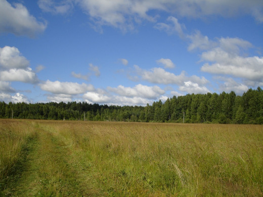 26943 (a): :1024x768